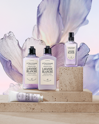 Art of Scent | L'Occitane NZ
